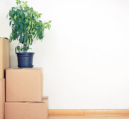 Looking for Portland Moving Companies this summer? Plan your move soon.